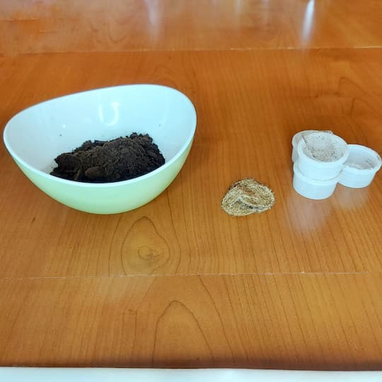 caffè riciclato